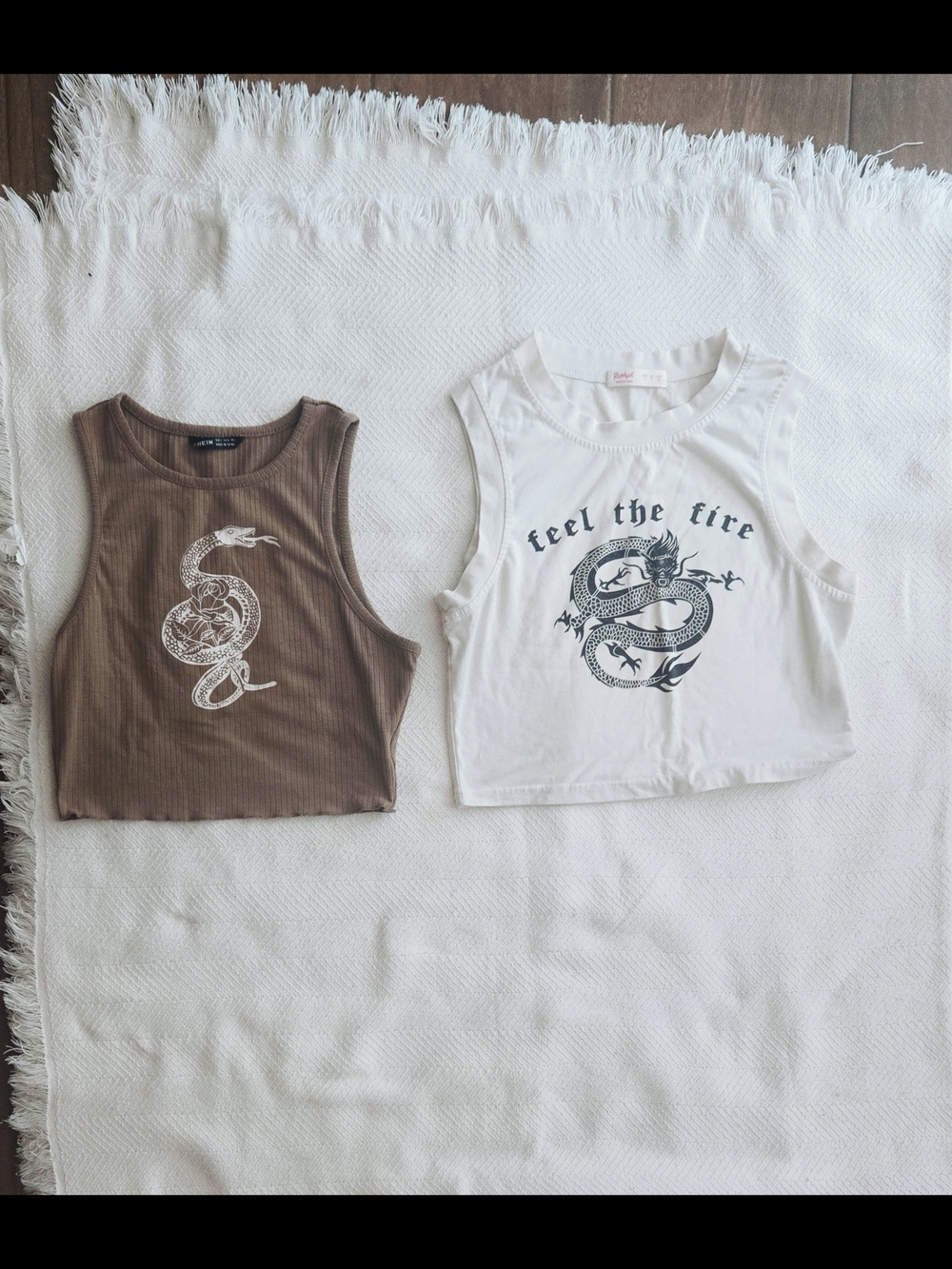 Brown Ribbed Snake Graphic Crop Tank